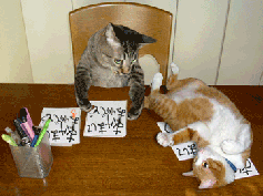 Image hébergée par Casimages.com : votre hébergeur d images simple et gratuit