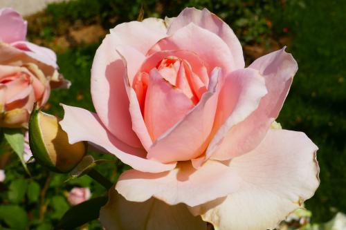 Le cartoscope du jeudi 10 juin 2021