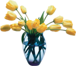 Vases de Fleurs