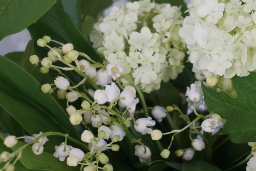 Muguet du 1er mai