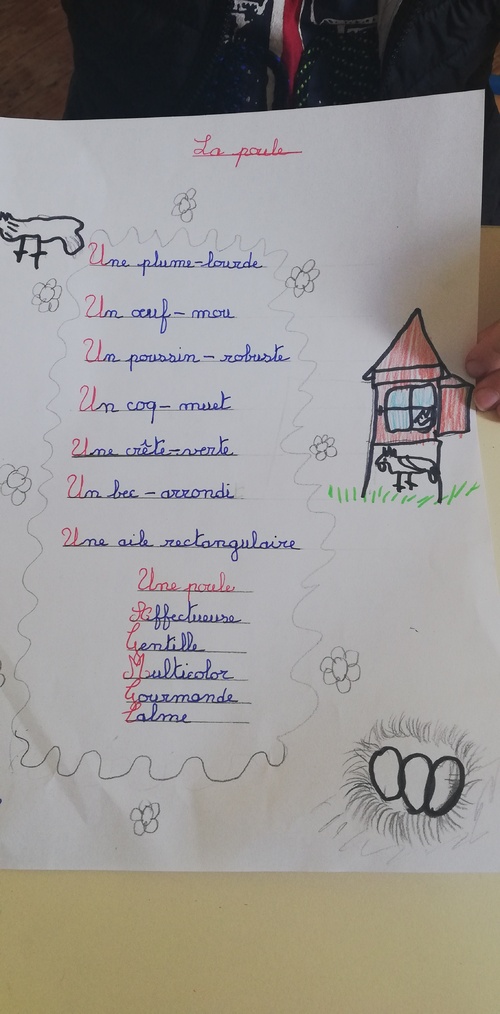 La poule mascotte de l'école