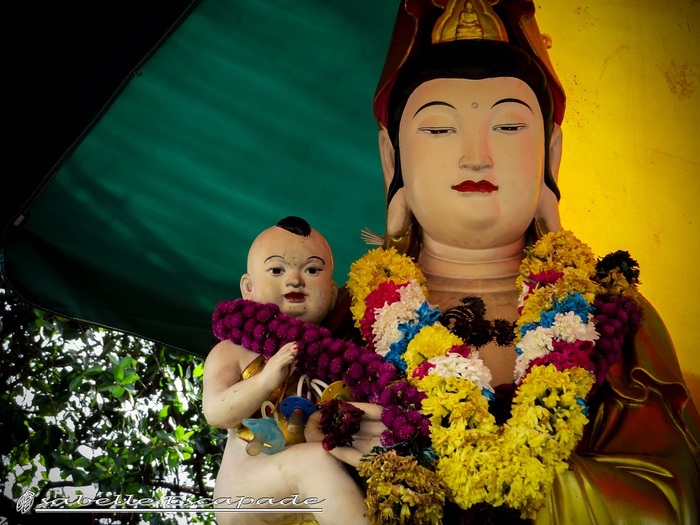  11 Juillet - Penang, la perle de l'Orient, la petite Singapour Malaisienne