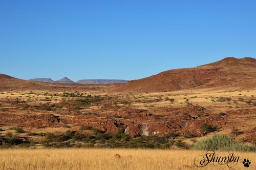 Palmwag conservancy: an oasis of wildlife