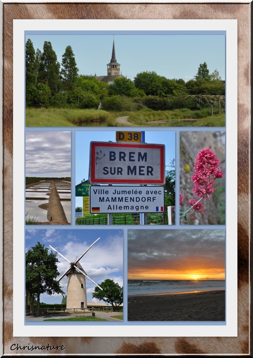 Brem sur mer ( vendée - 85 )