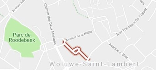 Wolu1200 : Flux migratoire infernal dans l'avenue Gilbert Mullie