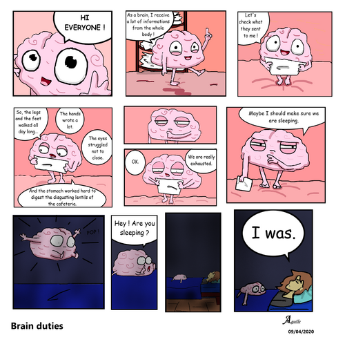Brain Duties