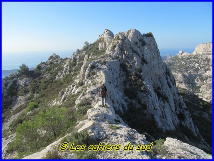 Le renard des calanques suite et ...fin !