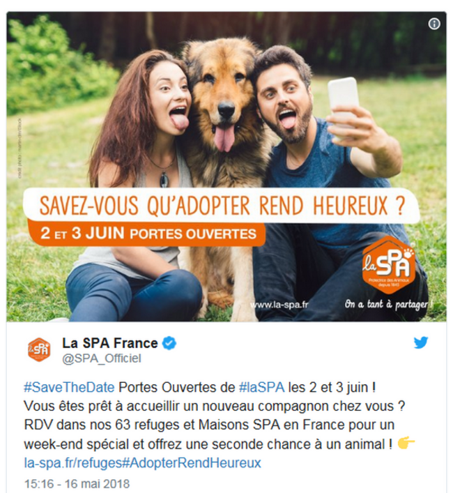 Refuges saturés, adoptions en baisse : la SPA lance un appelLes adoptions dans les refuges de la SPA ne permettent plus de compenser l'afflux d'animaux abandonnés. A l'approche des grandes vacances, l