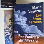 Marie Vingtras - Les âmes féroces | vagabondageautourdesoi