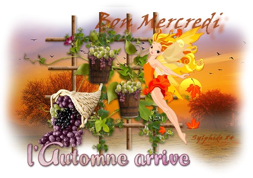 ✿ Bon Mercredi ✿ 