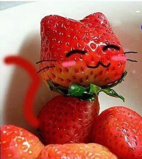 Résultat de recherche d'images pour "fraises rigolotes"