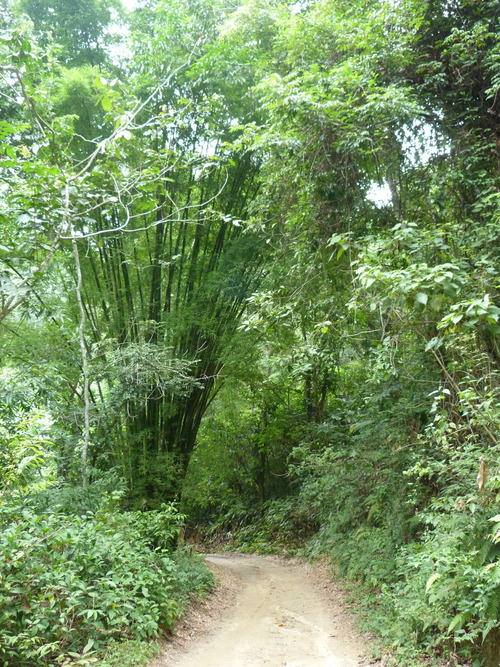 Minca, village de montagne