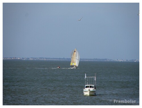 Tour de France à la Voile 2011