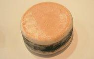 FROMAGES DE NOS REGIONS LA TOMME DE SAVOIE dans Fromages de nos régionsd 0PNdKS6NM5w7Pa2cjAI8kQD2paw@255x160