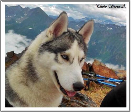 Ilouky (10,5 mois)