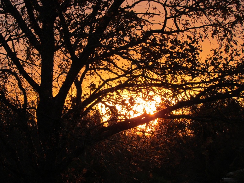 PHOTOS DE SOLEIL COUCHANT .