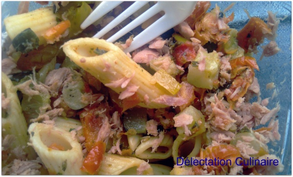 Test; Salade de Pâtes thon et légumes du soleil