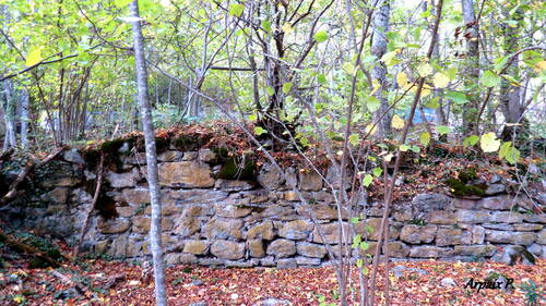 Ruines de l'ancien village de Gebetz ,en plateau de Sault