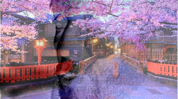 l'oeil & la plume...La jeune femme de Kyoto