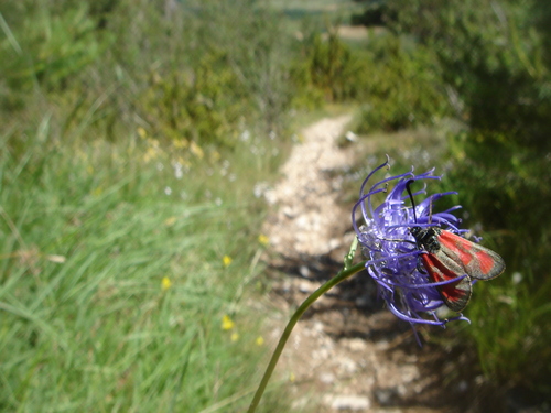 Le tour de St Eulalie