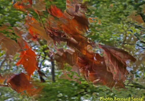 Des photos travaillées par Bernard Sanial