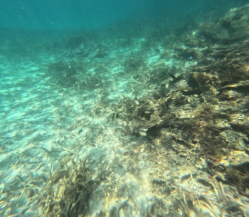 Les 5 îles, île Maurice, 2024