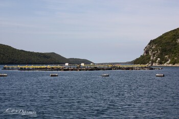 Le fjord de Lim