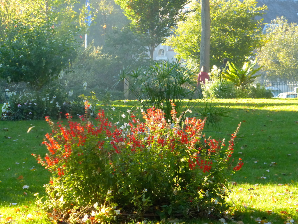 Parc de la Perraudière.