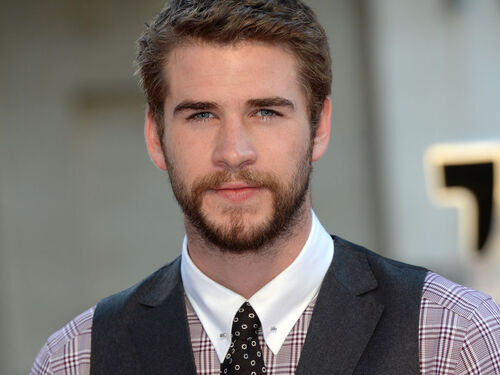 Liam Hemsworth est célibataire