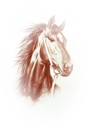 Chevaux