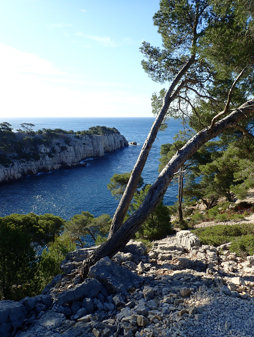 Cassis - Morgiou