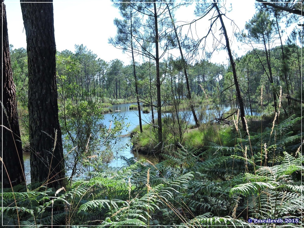 Autour du lac du Bousquey - Juin 2015 - 2/6