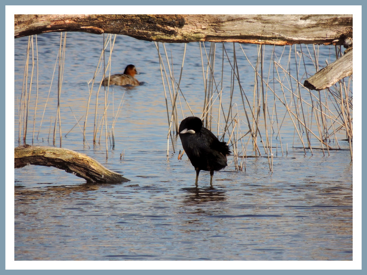 En Brenne.Images gratuites.