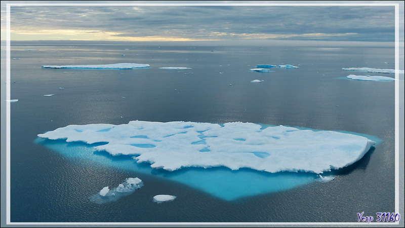 Navigation dans la Mer de Beaufort - Rencontre avec de la banquise en débâcle ... et des ours polaires - Nunavut - Canada