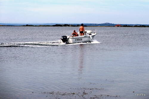 Promenade en bateau