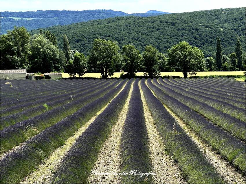 Drôme Provençale...