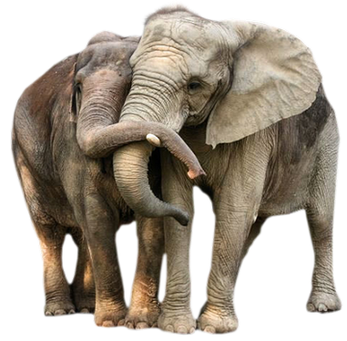 0Xrzq4 Jq1LzwX91LbTgnleKRE4