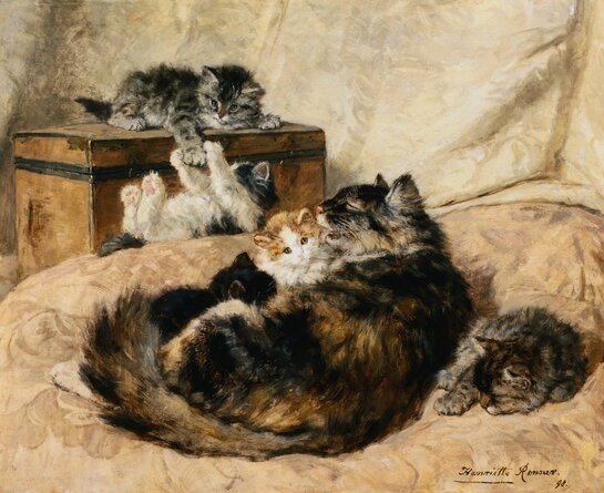 Henriëtte Ronner-Knip