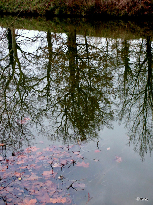 Randonnée : Canal du Midi