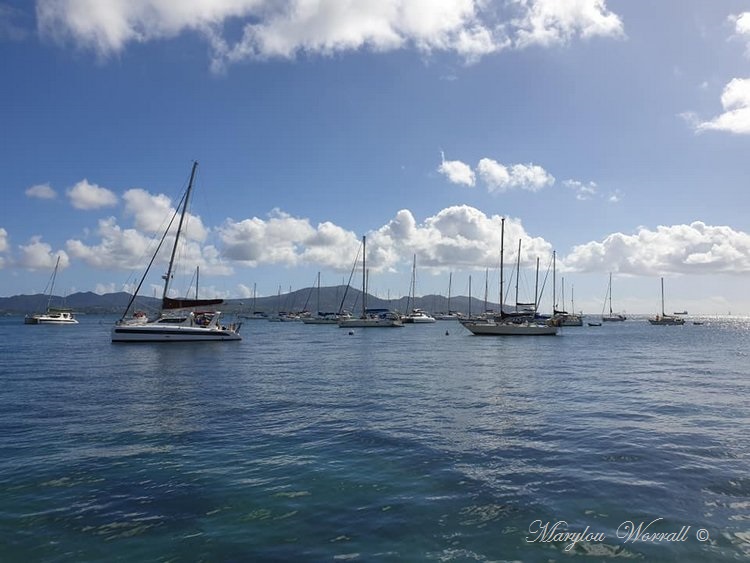 La Martinique : Mer et soleil