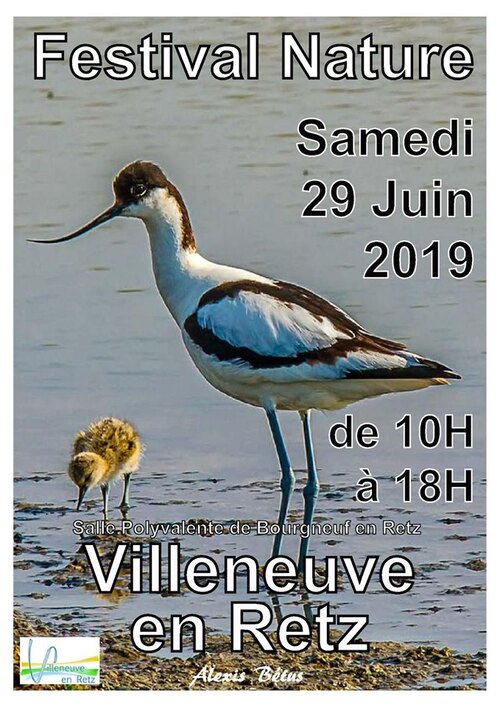 St Brévin Week end de la glisse - 2019