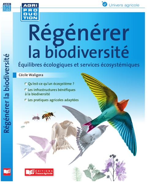 "Régénérer la biodiversité", un entretien avec Cécile Waligora, à la Galerie des Z'uns Possible à Chamesson