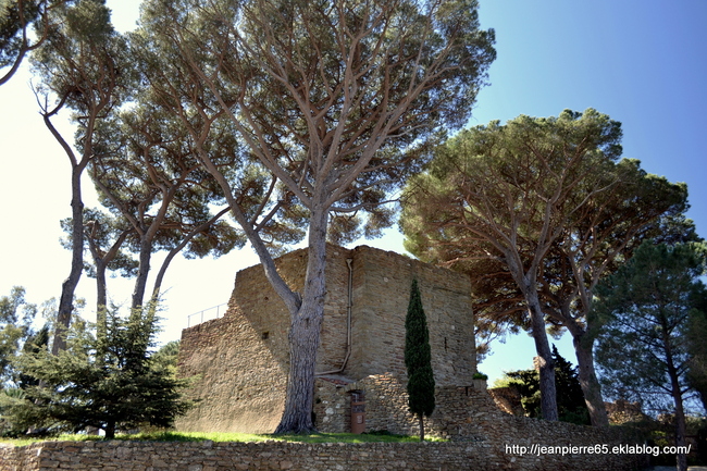 2014.03.26 Bormes les Mimosas, Domaine de Rayol (département du Var)