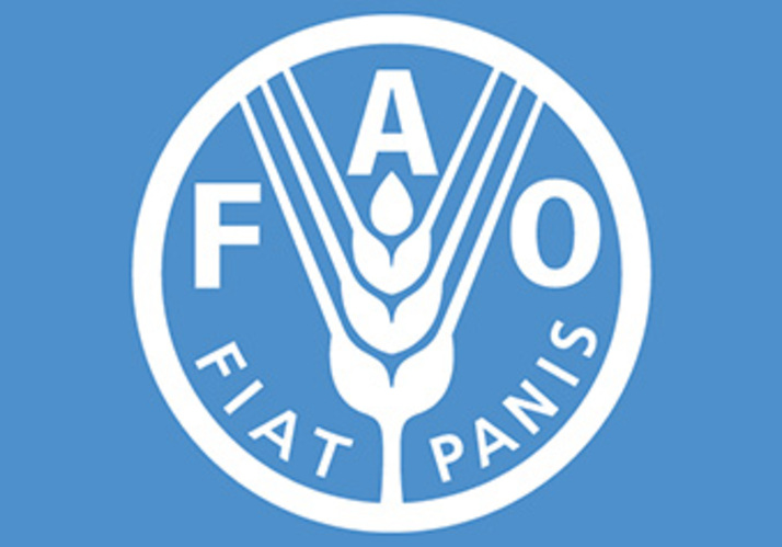 FAO POUR L'ALIMENTATION ET L'AGRICULTURE A ROME 