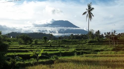 Bali