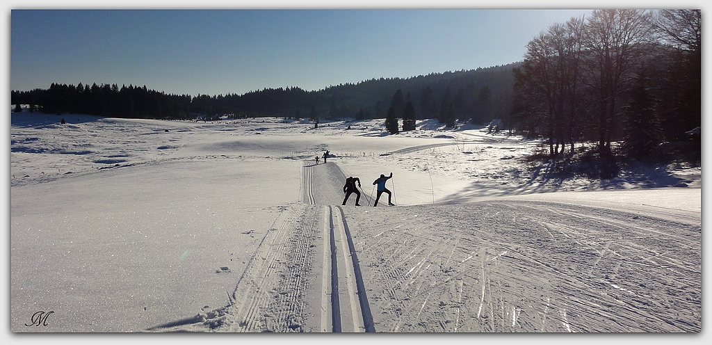 Pistes de ski dans un environnement préservé