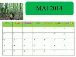 Calendrier du loup