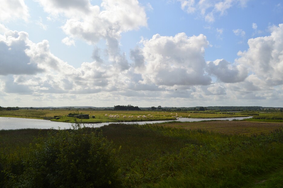 Mes vacances en Baie de Somme (7), à bord d'un tortillard...