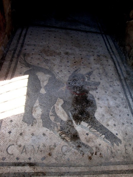 Pompei, la maison du poète tragique, Cave Canem