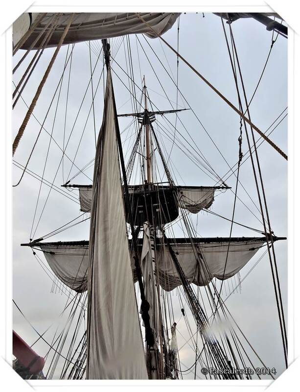 L'Hermione à Bordeaux - 7/11